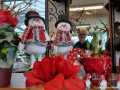 Adventszeit Gärtnerei Linke 4