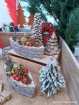 Adventszeit Gärtnerei Linke 5
