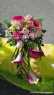 WhatsApp-Image-2020-09-06-at-17.39.11