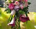 WhatsApp-Image-2020-09-06-at-17.39.11