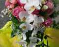 WhatsApp-Image-2020-09-06-at-17.39.12