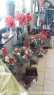 IMG-20201128-WA0036