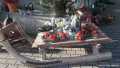 IMG-20201128-WA0038