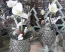 IMG-20201128-WA0034