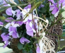 img-20150228-wa0011